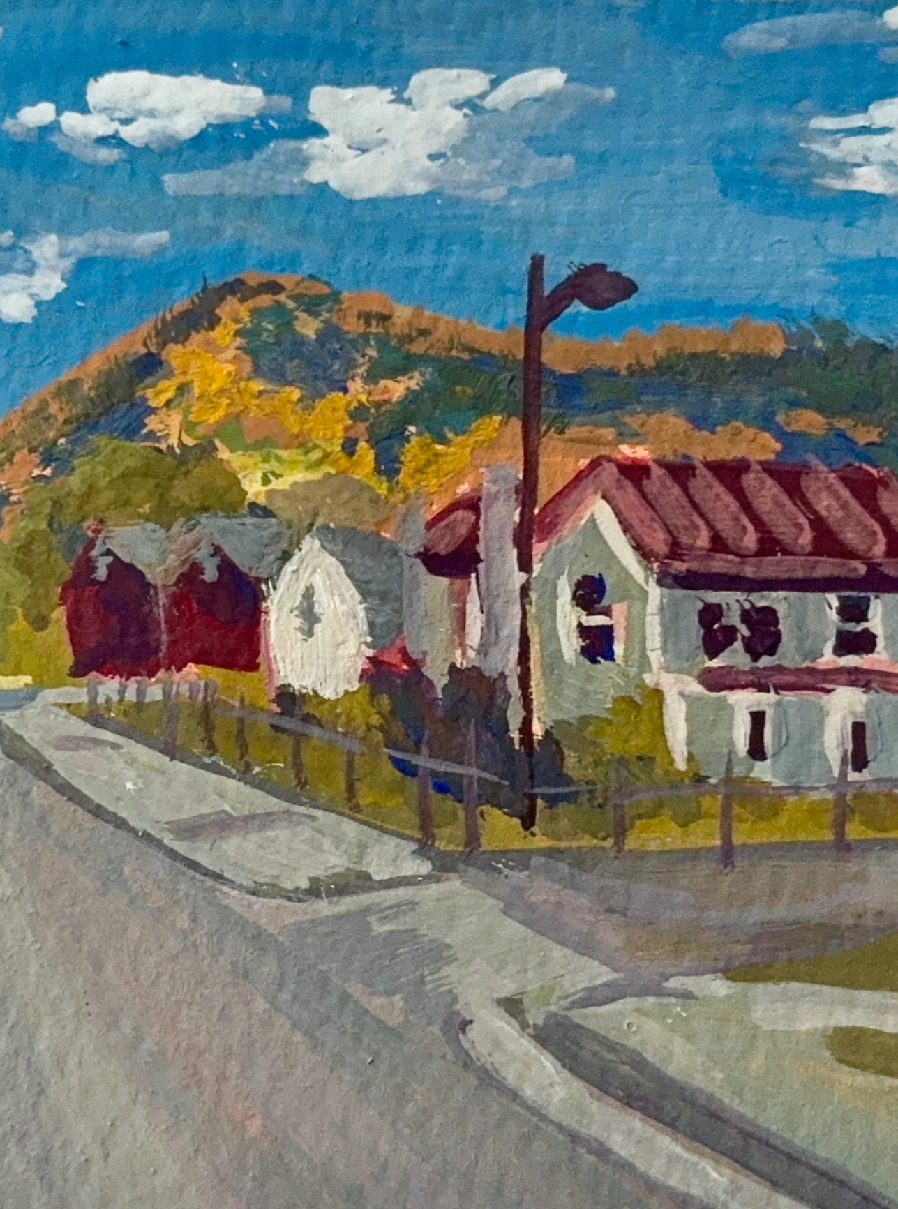 Street in Buena Vista, VA